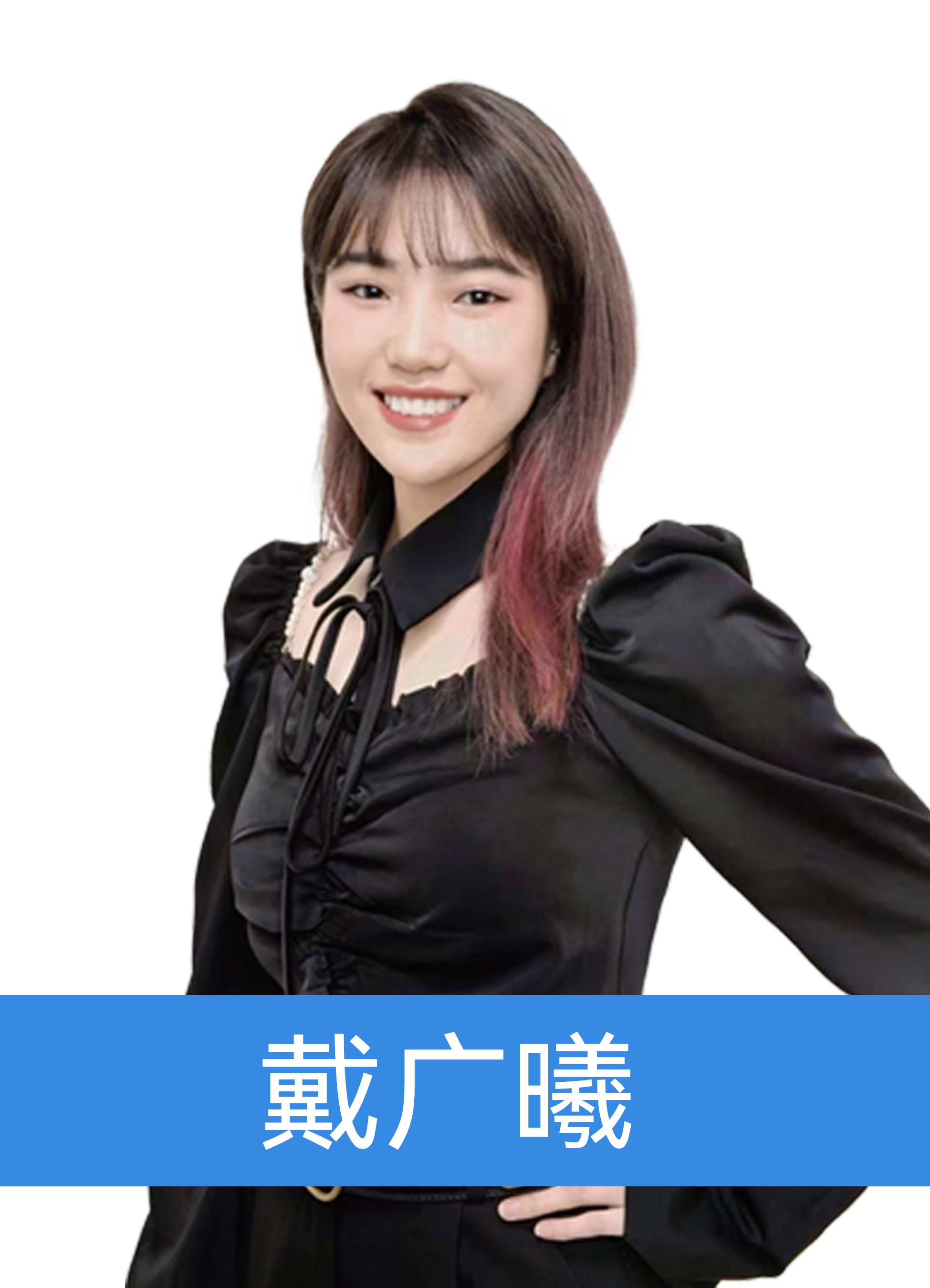 軟件開發(fā)師資-王志成